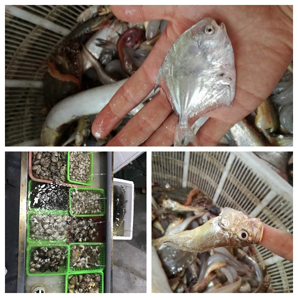 光影魔術(shù)手拼圖22.jpg